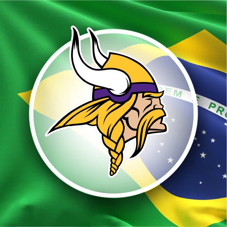 Minnesota Vikings BR